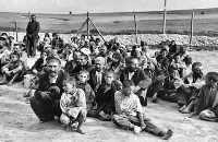 roma gypsies holocaust
